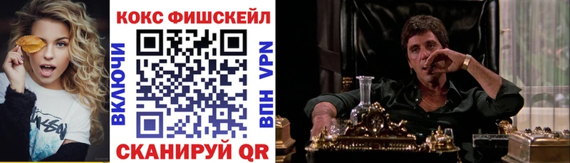 COCAIN Fish Scale  Купить  Велиж 