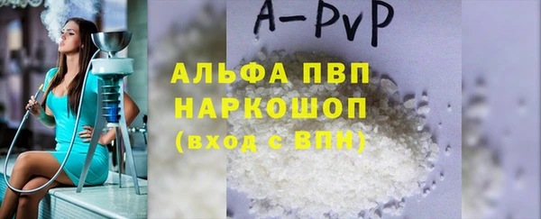 PSILOCYBIN Каменногорск