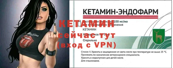 стаф Каменка