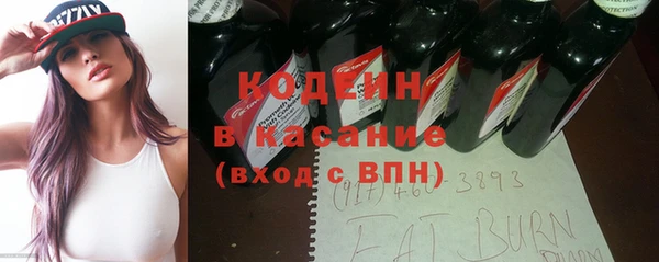 стаф Каменка