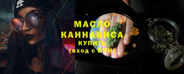стаф Каменка