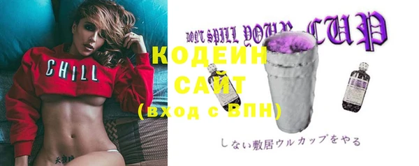 стаф Каменка