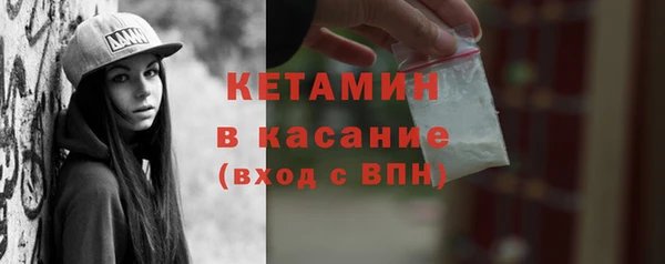 стаф Каменка
