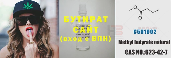 стаф Каменка
