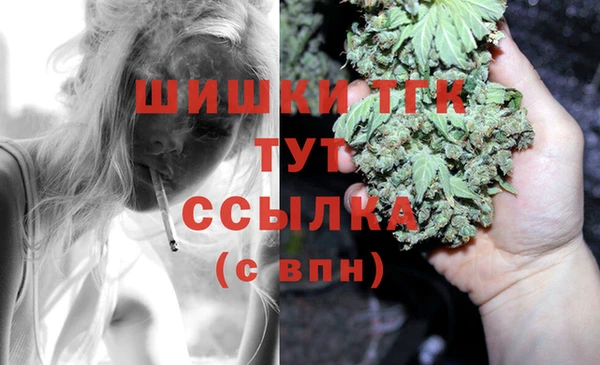 стаф Каменка