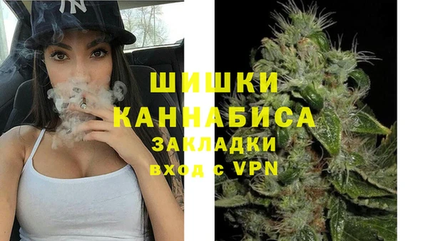 стаф Каменка