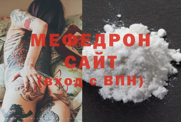 стаф Каменка