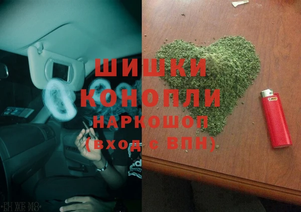 стаф Каменка