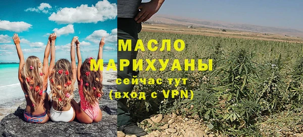 стаф Каменка