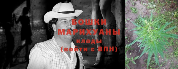 стаф Каменка