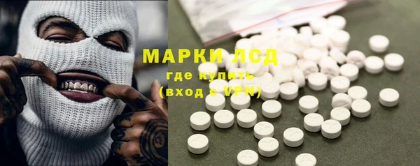 PSILOCYBIN Каменногорск
