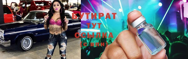 стаф Каменка