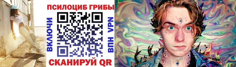 Купить где  Велиж  Галлюциногенные грибы прущие грибы 